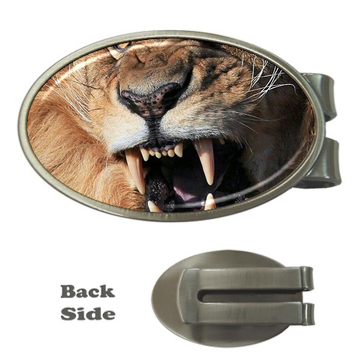 Male Lion Angry Money Clips (Oval) 