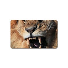 Male Lion Angry Magnet (name Card) by Celenk