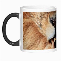 Male Lion Angry Morph Mugs by Celenk