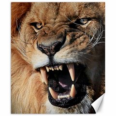 Male Lion Angry Canvas 8  X 10  by Celenk