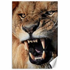 Male Lion Angry Canvas 20  X 30   by Celenk