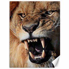 Male Lion Angry Canvas 36  X 48   by Celenk