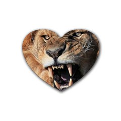 Male Lion Angry Heart Coaster (4 Pack)  by Celenk