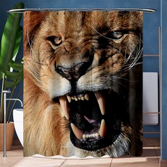 Male Lion Angry Shower Curtain 60  X 72  (medium)  by Celenk