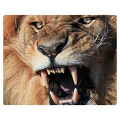 Male Lion Angry Double Sided Flano Blanket (medium)  by Celenk