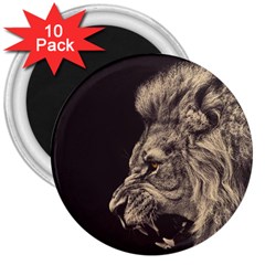 Angry Male Lion 3  Magnets (10 Pack)  by Celenk