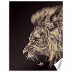 Angry Male Lion Canvas 12  X 16   by Celenk