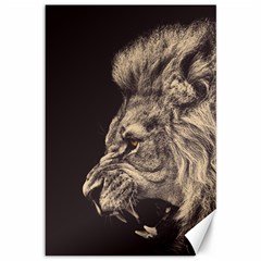 Angry Male Lion Canvas 12  X 18   by Celenk