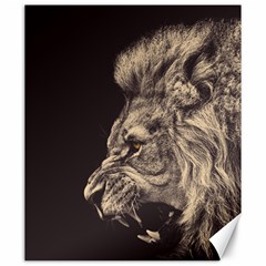 Angry Male Lion Canvas 20  X 24   by Celenk