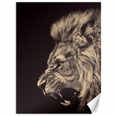 Angry Male Lion Canvas 36  X 48   by Celenk