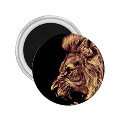 Angry Male Lion Gold 2 25  Magnets by Celenk