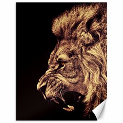 Angry Male Lion Gold Canvas 12  X 16   by Celenk