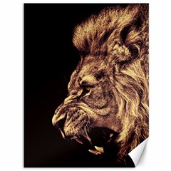 Angry Male Lion Gold Canvas 36  X 48   by Celenk