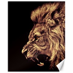 Angry Male Lion Gold Canvas 11  X 14   by Celenk