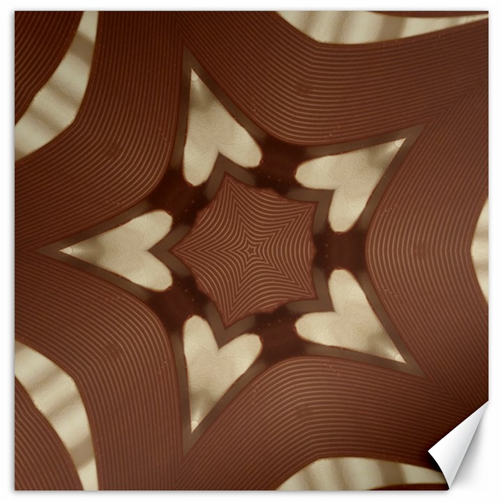 Chocolate Brown Kaleidoscope Design Star Canvas 20  x 20  