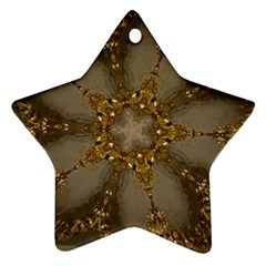 Golden Flower Star Floral Kaleidoscopic Design Star Ornament (two Sides) by yoursparklingshop