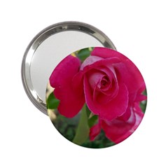 Romantic Red Rose Photography 2 25  Handbag Mirrors by yoursparklingshop