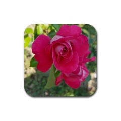 Romantic Red Rose Photography Rubber Coaster (square)  by yoursparklingshop