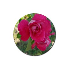 Romantic Red Rose Photography Rubber Coaster (round)  by yoursparklingshop