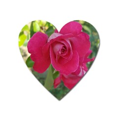 Romantic Red Rose Photography Heart Magnet by yoursparklingshop