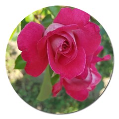 Romantic Red Rose Photography Magnet 5  (round) by yoursparklingshop