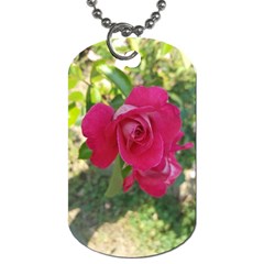 Romantic Red Rose Photography Dog Tag (two Sides) by yoursparklingshop