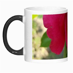 Romantic Red Rose Photography Morph Mugs by yoursparklingshop