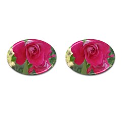 Romantic Red Rose Photography Cufflinks (oval) by yoursparklingshop