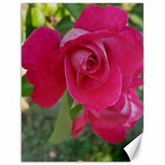 Romantic Red Rose Photography Canvas 12  X 16  