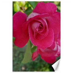 Romantic Red Rose Photography Canvas 12  X 18   by yoursparklingshop