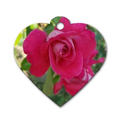 Romantic Red Rose Photography Dog Tag Heart (two Sides) by yoursparklingshop