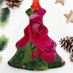 Romantic Red Rose Photography Christmas Tree Ornament (two Sides) by yoursparklingshop