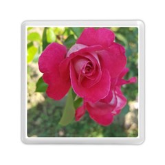 Romantic Red Rose Photography Memory Card Reader (square)  by yoursparklingshop