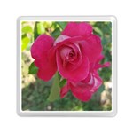 Romantic Red Rose Photography Memory Card Reader (Square)  Front