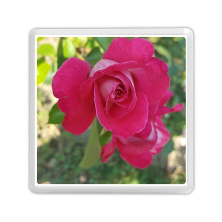 Romantic Red Rose Photography Memory Card Reader (Square) 