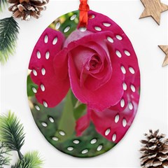 Romantic Red Rose Photography Ornament (oval Filigree) by yoursparklingshop