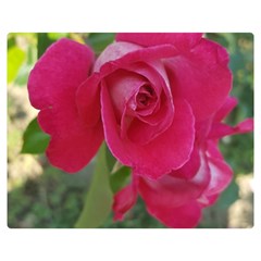 Romantic Red Rose Photography Double Sided Flano Blanket (medium)  by yoursparklingshop