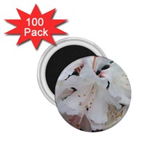 Floral Design White Flowers Photography 1 75  Magnets (100 Pack)  by yoursparklingshop