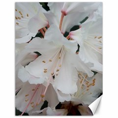 Floral Design White Flowers Photography Canvas 12  X 16   by yoursparklingshop