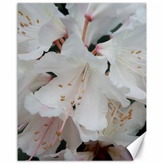 Floral Design White Flowers Photography Canvas 16  X 20   by yoursparklingshop