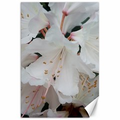 Floral Design White Flowers Photography Canvas 20  X 30   by yoursparklingshop