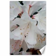 Floral Design White Flowers Photography Canvas 24  X 36  by yoursparklingshop