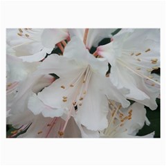 Floral Design White Flowers Photography Large Glasses Cloth (2-side)