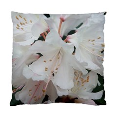 Floral Design White Flowers Photography Standard Cushion Case (one Side) by yoursparklingshop