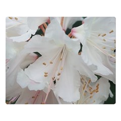 Floral Design White Flowers Photography Double Sided Flano Blanket (large)  by yoursparklingshop