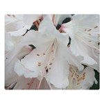 Floral Design White Flowers Photography Double Sided Flano Blanket (Large)  80 x60  Blanket Front