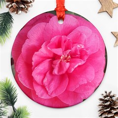 Pink Flower Japanese Tea Rose Floral Design Ornament (round) by yoursparklingshop