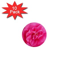 Pink Flower Japanese Tea Rose Floral Design 1  Mini Buttons (10 Pack)  by yoursparklingshop