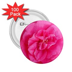 Pink Flower Japanese Tea Rose Floral Design 2 25  Buttons (100 Pack)  by yoursparklingshop