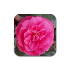 Pink Flower Japanese Tea Rose Floral Design Rubber Coaster (square)  by yoursparklingshop